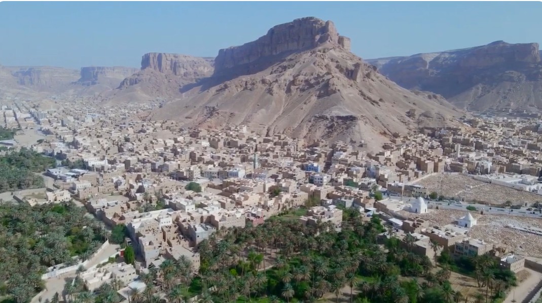 قصة نجاح مشروع تربية النحل وانتاج العسل